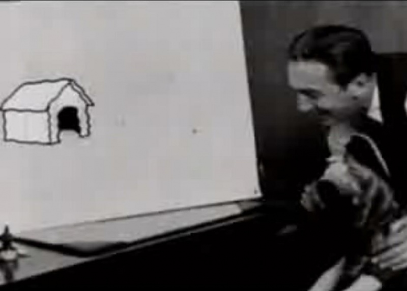 Datei:Alice Wounderland.JPG