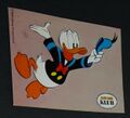 Donald Duck